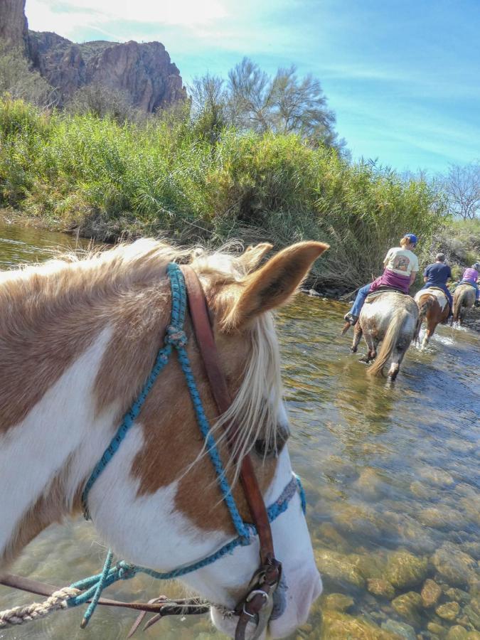 Saguaro Lake Ranch Фаунтин Хилс Екстериор снимка